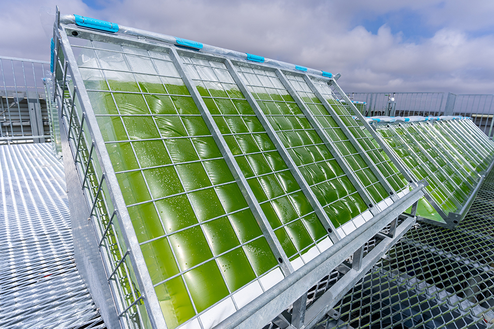 南宫28·NG娱乐(中国区)官方网站