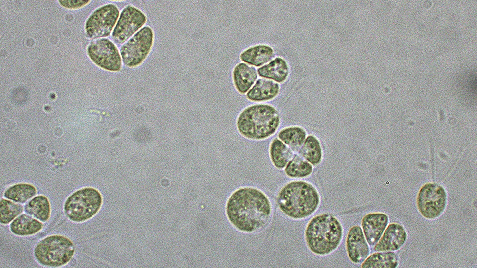 南宫28·NG娱乐(中国区)官方网站