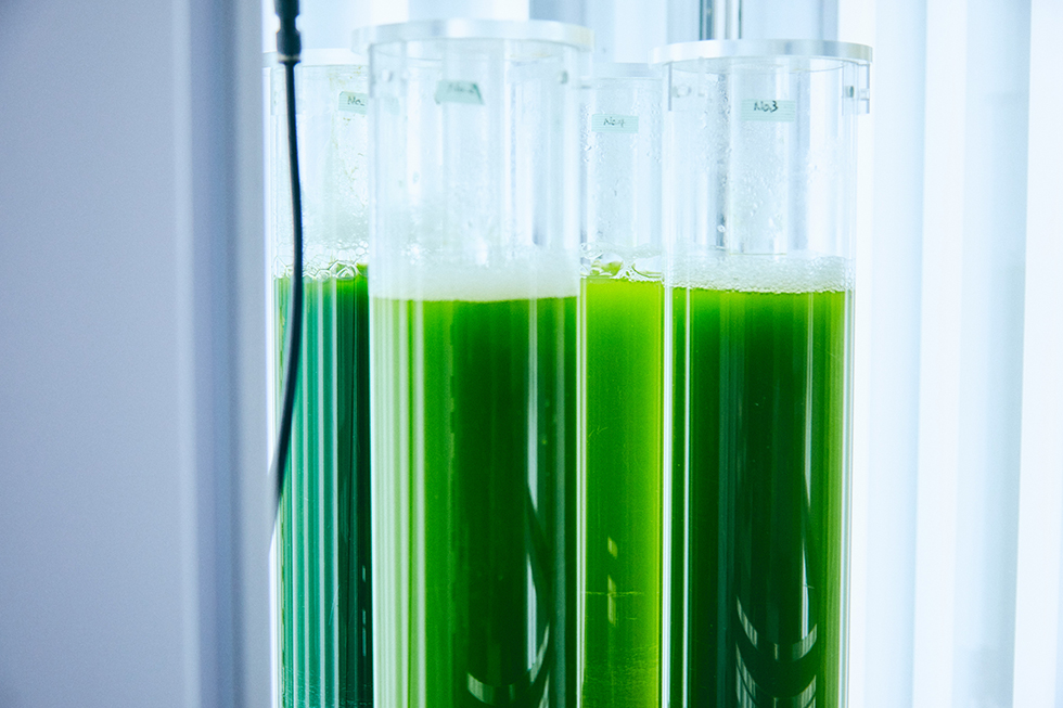 南宫28·NG娱乐(中国区)官方网站